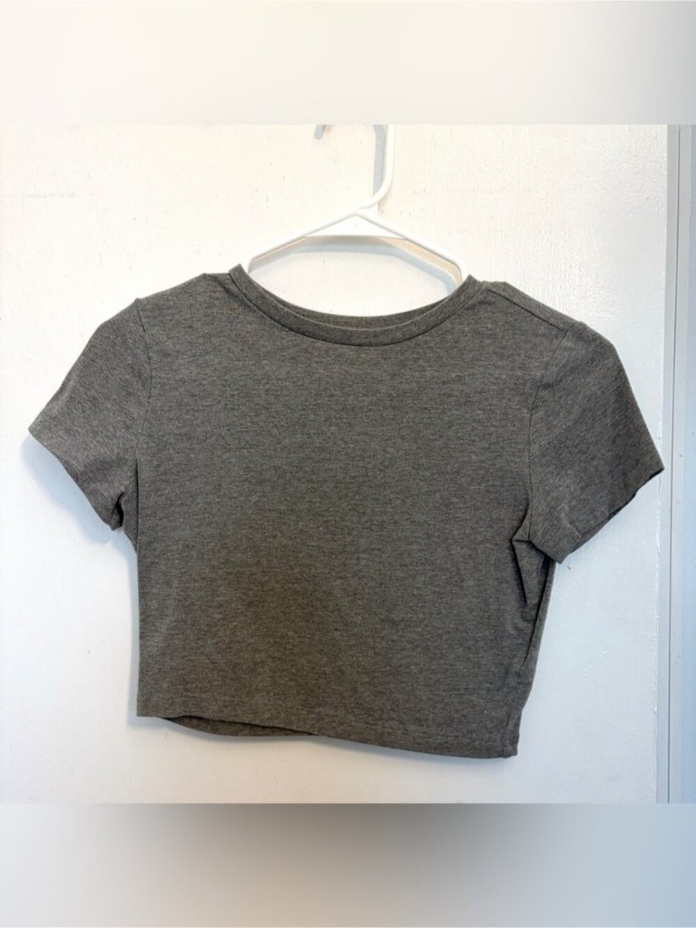 Wild fable cropped tee in gray.